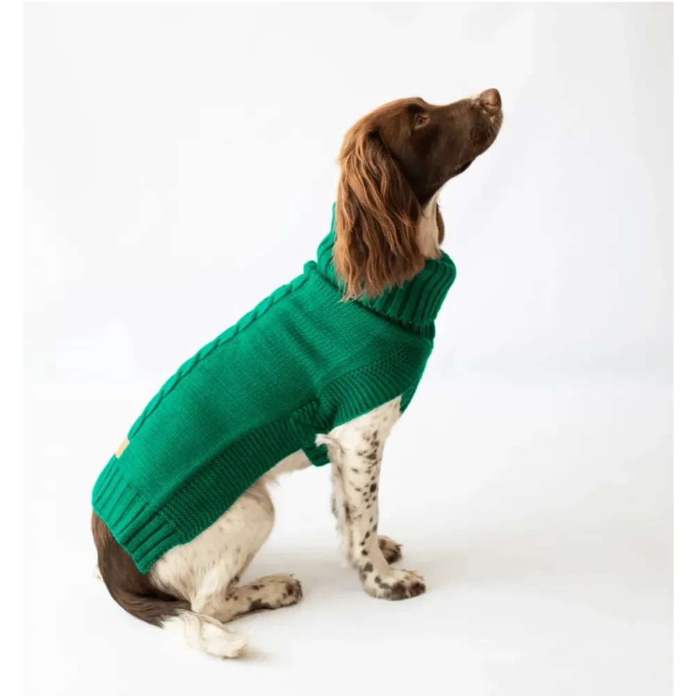 The Jazz dog jumper in green
