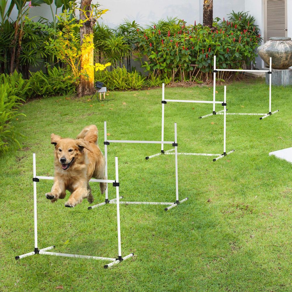 Canine dog agility set - jumping training obstacles course free standing