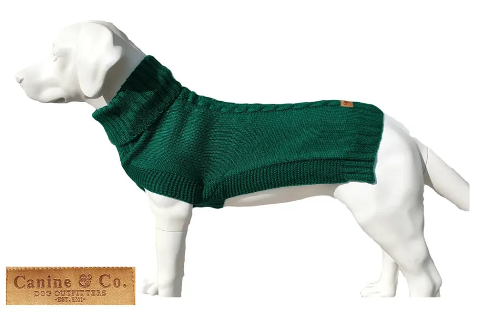 The Jazz dog jumper in green