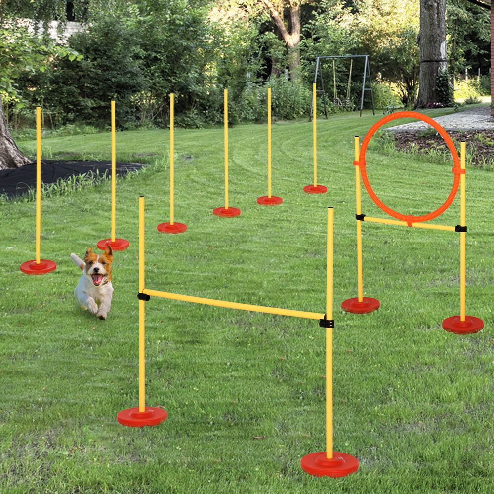 PawHut portable pet agility training obstacle set - jumping pole, ring, turnstile, poles