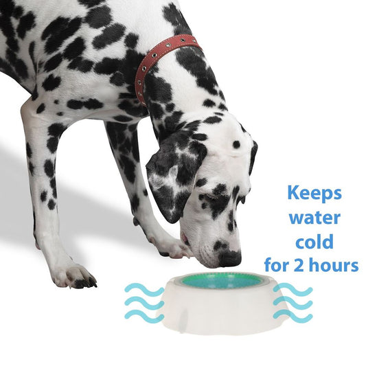 DISC Smart choice cool water pet cooling bowl keep cold 450ml DGI-2247 chill