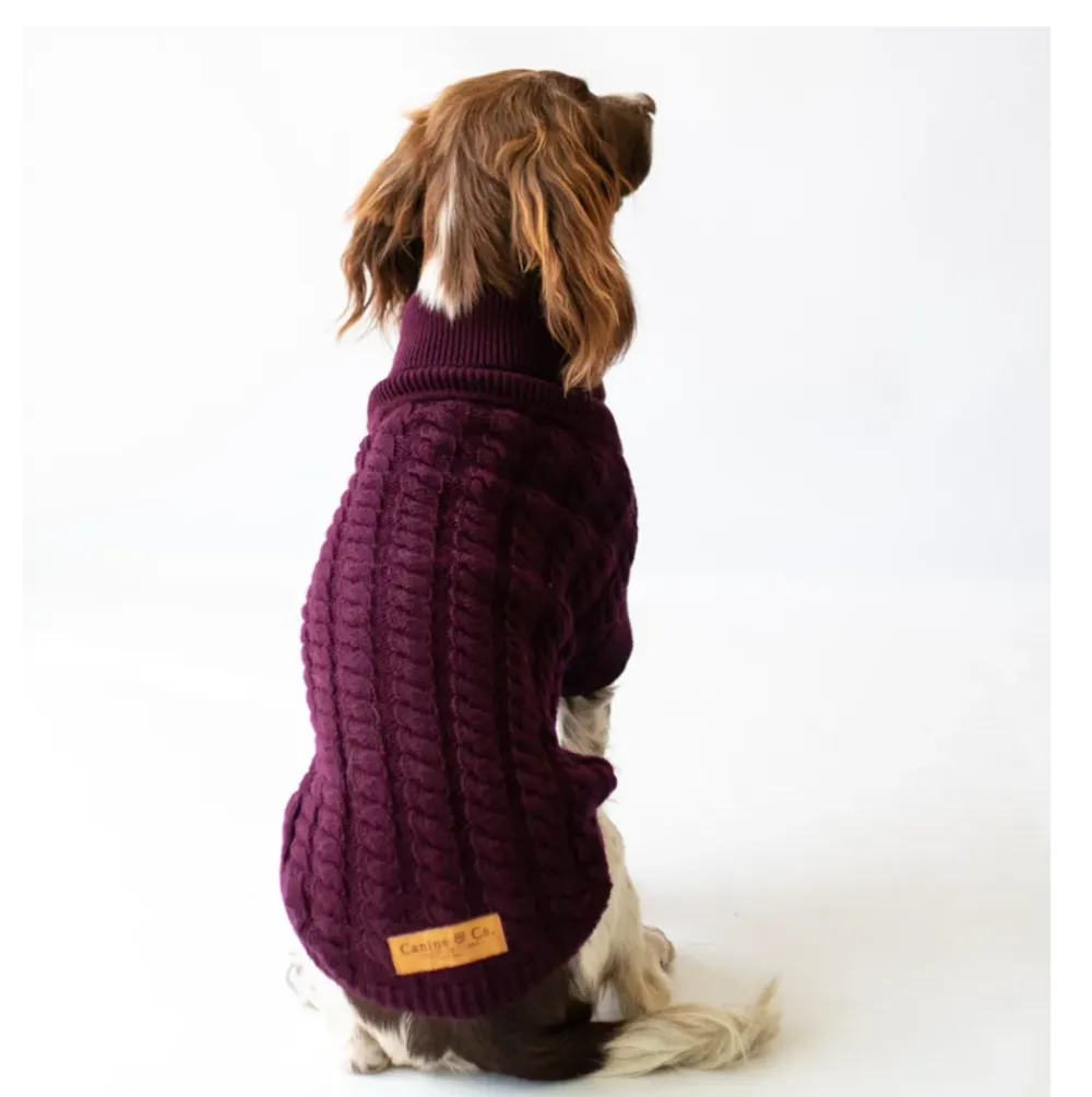 The Rascal dog jumper in grape