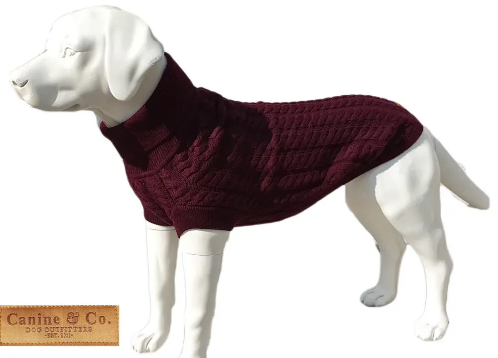 The Rascal dog jumper in grape