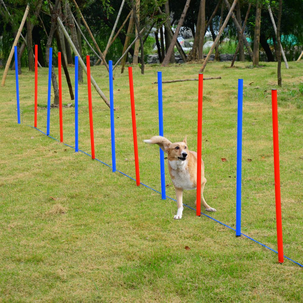 PawHut pet agility training set, play kit - dog, hoop, poles, tunnel, obedience equipment