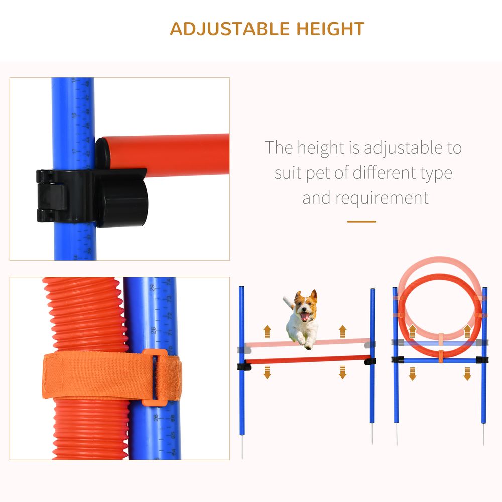 Pet agility training set, play kit for dogs - jump, hoop, poles, tunnel, obedience equipment