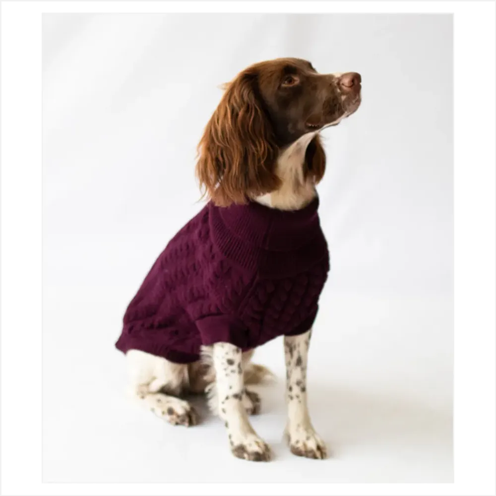 The Rascal dog jumper in grape