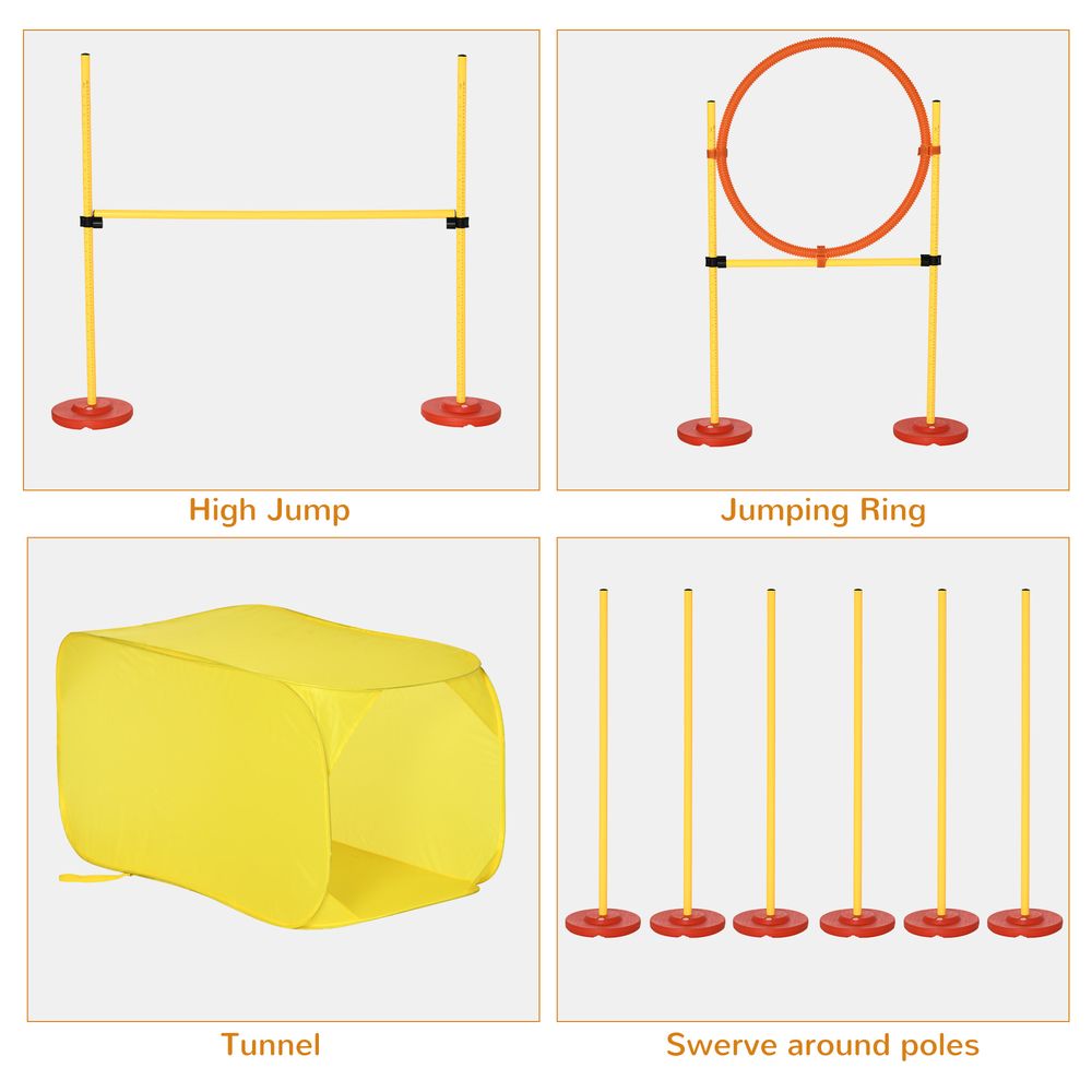 Four-piece dog pet agility training equipment starter course set, garden